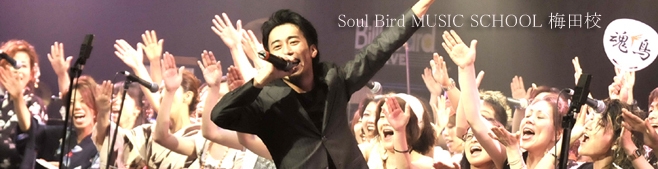 Soul Bird MUSIC SCHOOL~cZ