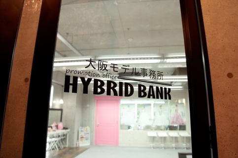  HYBRID BANK