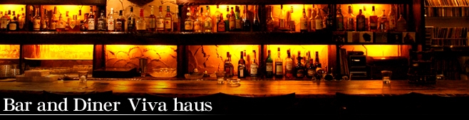 Bar and Diner Vivahaus ronEX